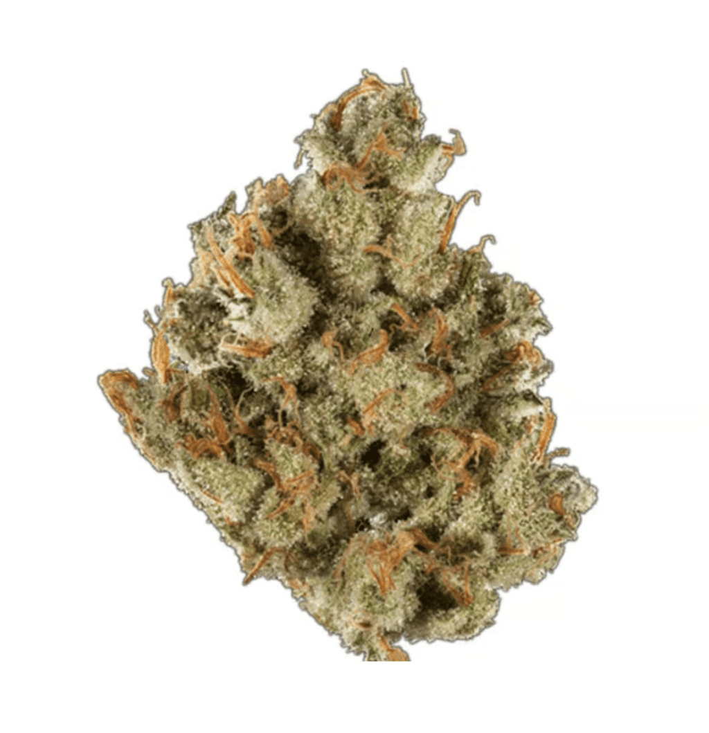 Recreational Dispensary in Greeley, Log Lane Village, Sedgwick